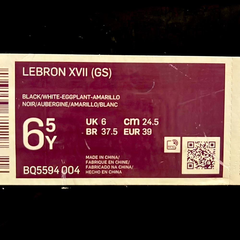 Lebron XVII (GS)